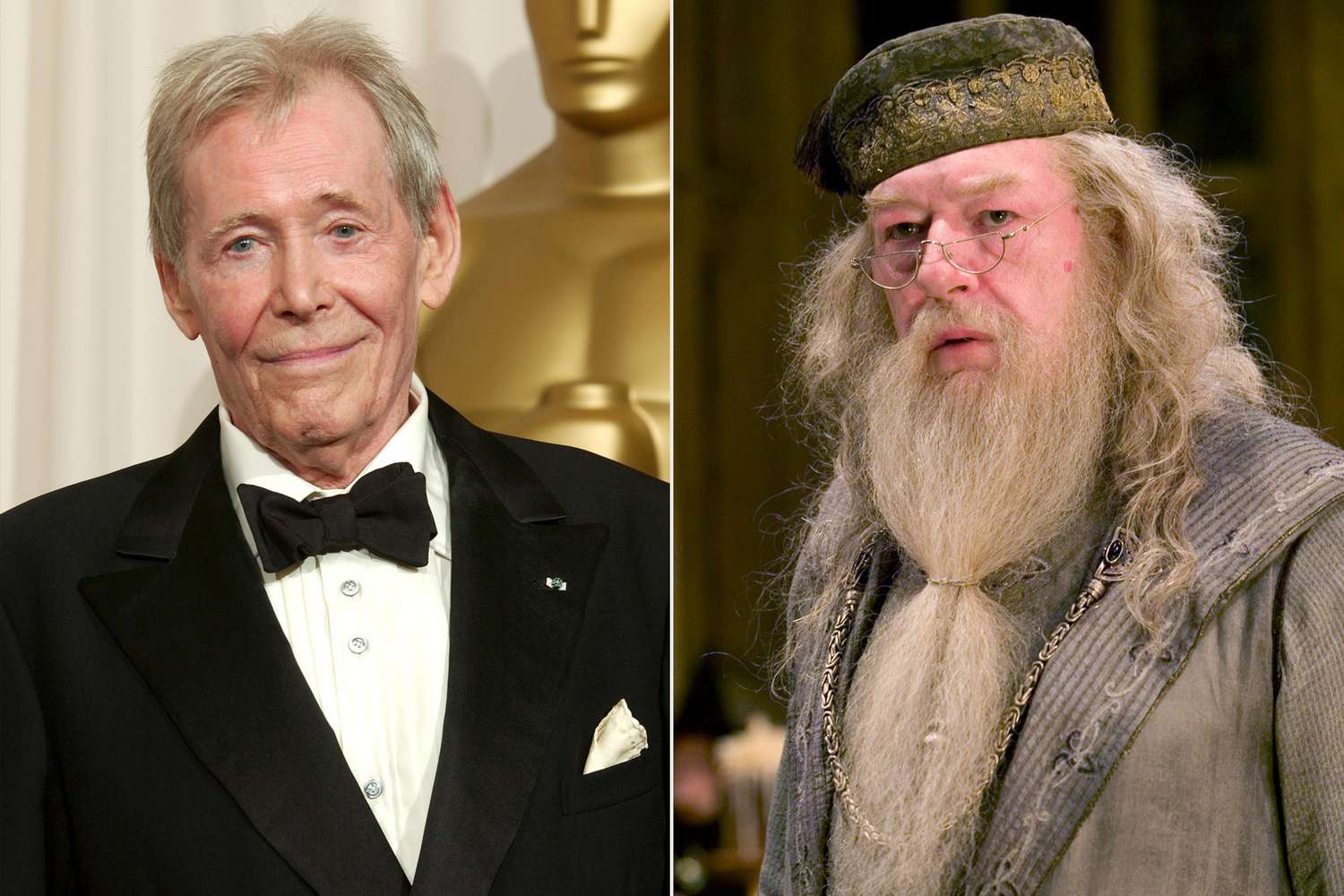 Peter O'Toole; Michael Gambon as Albus Dumbledore