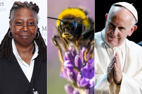 Whoopi Goldberg wants to send the Pope some bees
