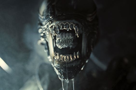 Xenomorph in 20th Century Studios' ALIEN: ROMULUS.