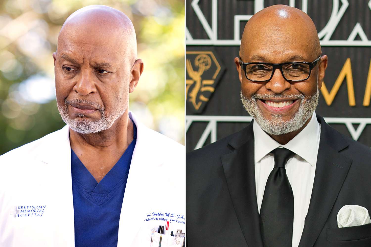 Greys Anatomy Where Are They Now; James Pickens Jr.