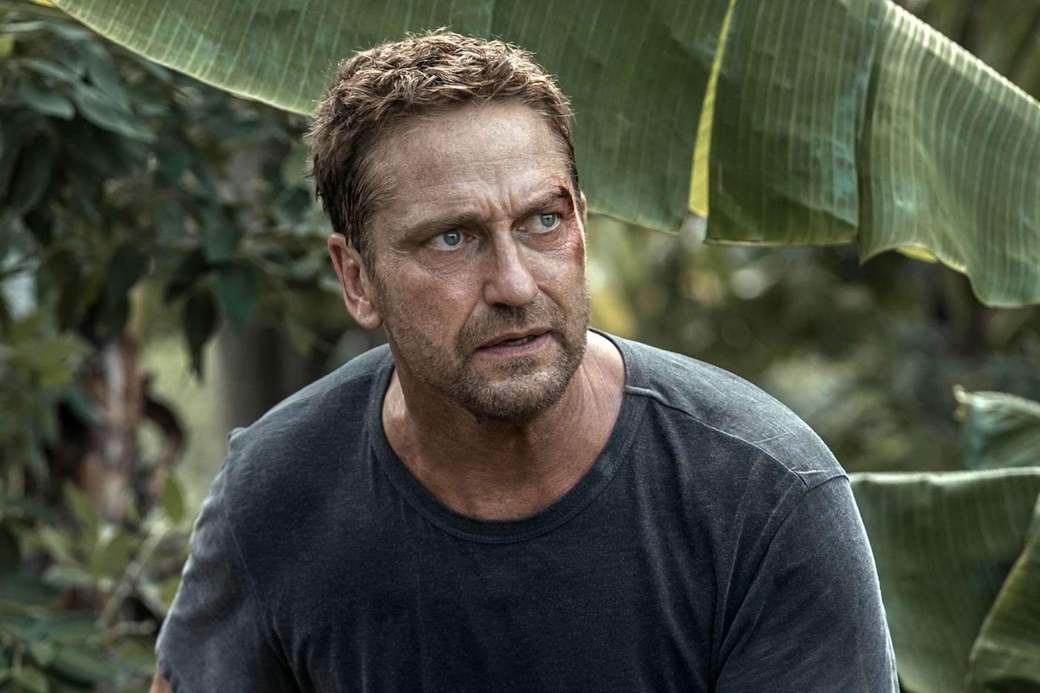 Plane - Gerard Butler