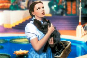 Judy Garland in 'The Wizard of Oz'