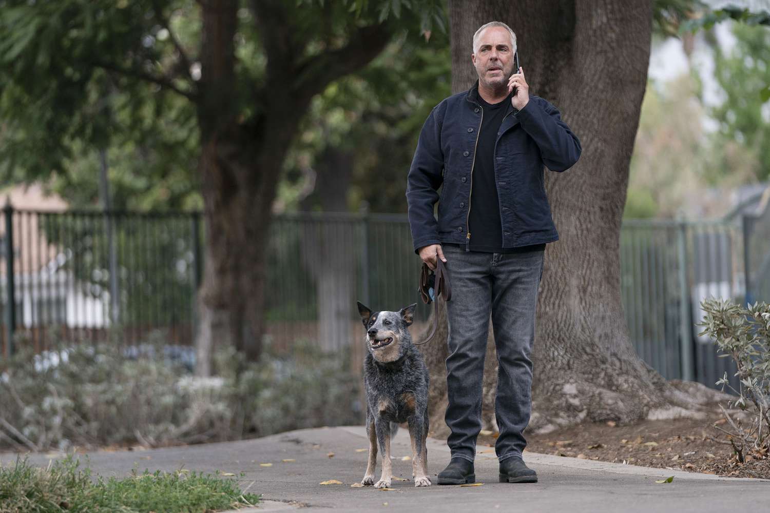 Brody the dog and Titus Welliver on 'Bosch: Legacy'