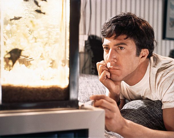 Nominated for: Best Actor for The Graduate in 1968 What got Oscar's attention? Hoffman's talent made the role of complex, drifting mother-in-law seducer Benjamin Braddock