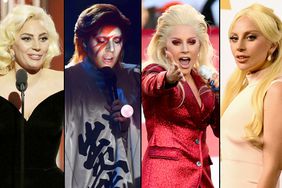 Lady Gaga's Killer Year