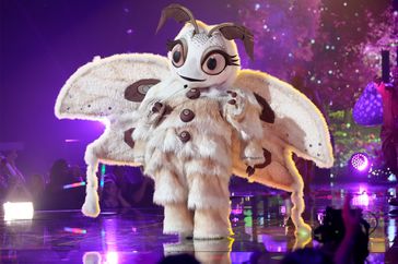 THE MASKED SINGER: Poodle Moth