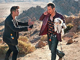 DOG DAYS Colin Farrell and Sam Rockwell steal a dog from a crime boss