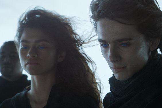 Paul Atreides (Timothee Chalamet) glimpses a possible future for himself and Chani (Zendaya) in 'Dune'