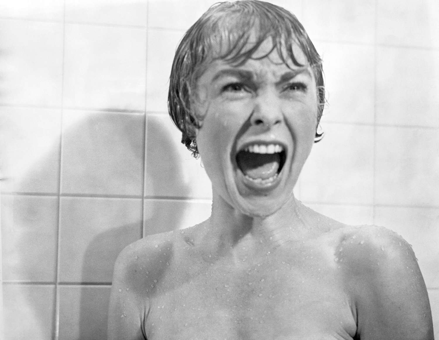 Janet Leigh in 'Psycho'