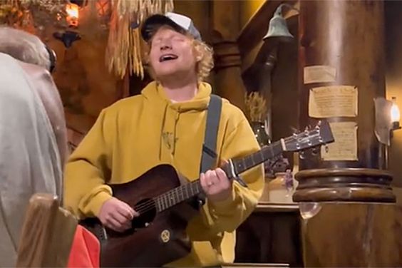 Ed Sheeran crashing a Hobbiton tourq