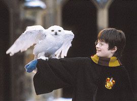 Daniel Radcliffe, Harry Potter and the Sorcerer's Stone