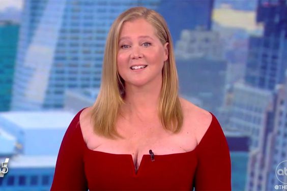 Amy Schumer on The View