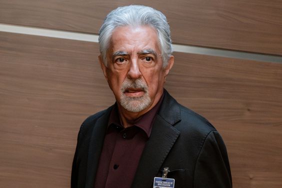 Joe Mantegna as David Rossi