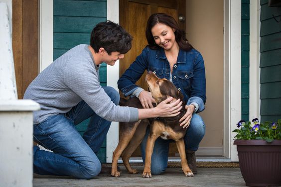 Jonah Hauer King (Finalized);Ashley Judd (Finalized)