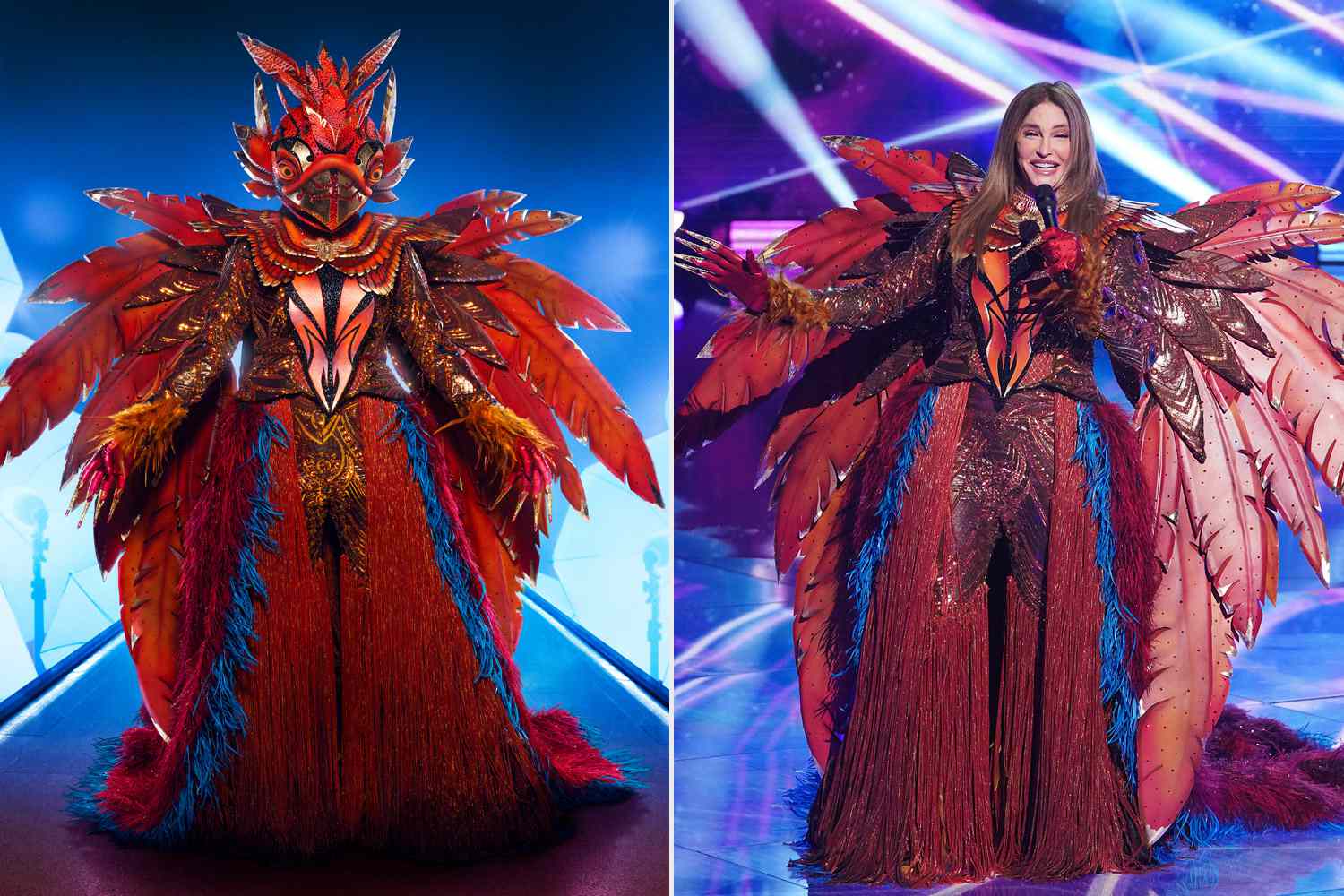 THE MASKED SINGER: Phoenix