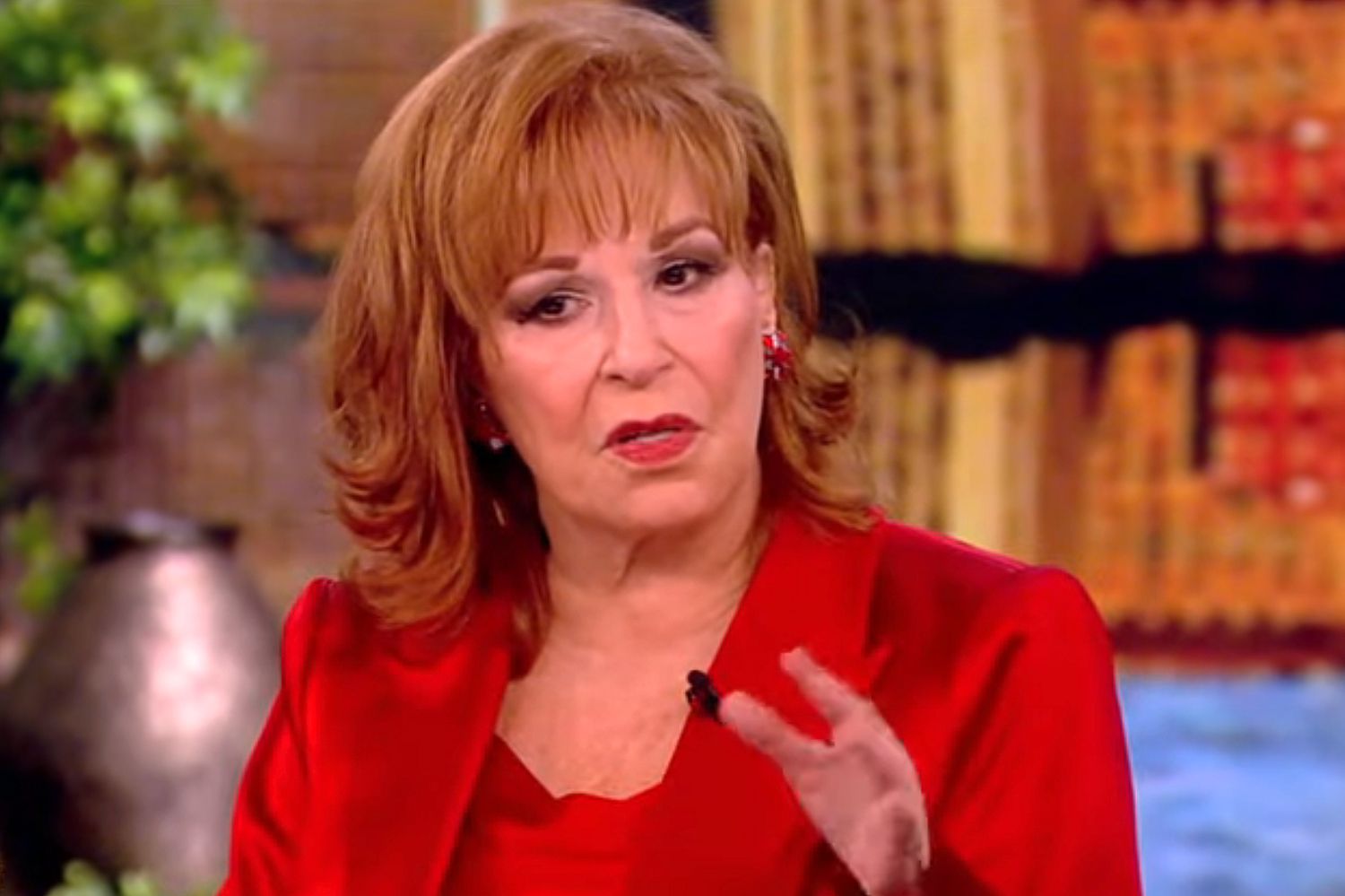 Joy Behar on 'The View'