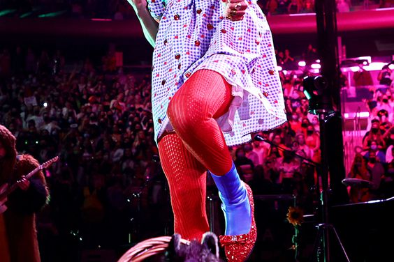 Harry Styles performs, in Dorothy from "The Wizard of Oz" costume, with Toto dog onstage at Harry Styles "Harryween" Fancy Dress Party at Madison Square Garden on October 30, 2021 in New York City.
