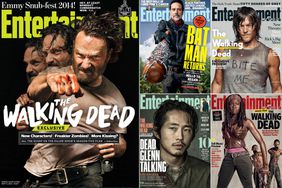 twd_covers