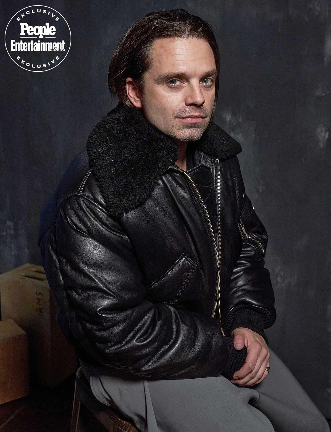 Sebastian Stan - A Different Man