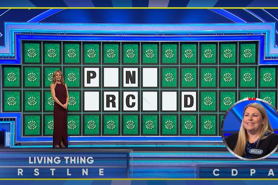 Megan's Bonus Round | Wheel of Fortune