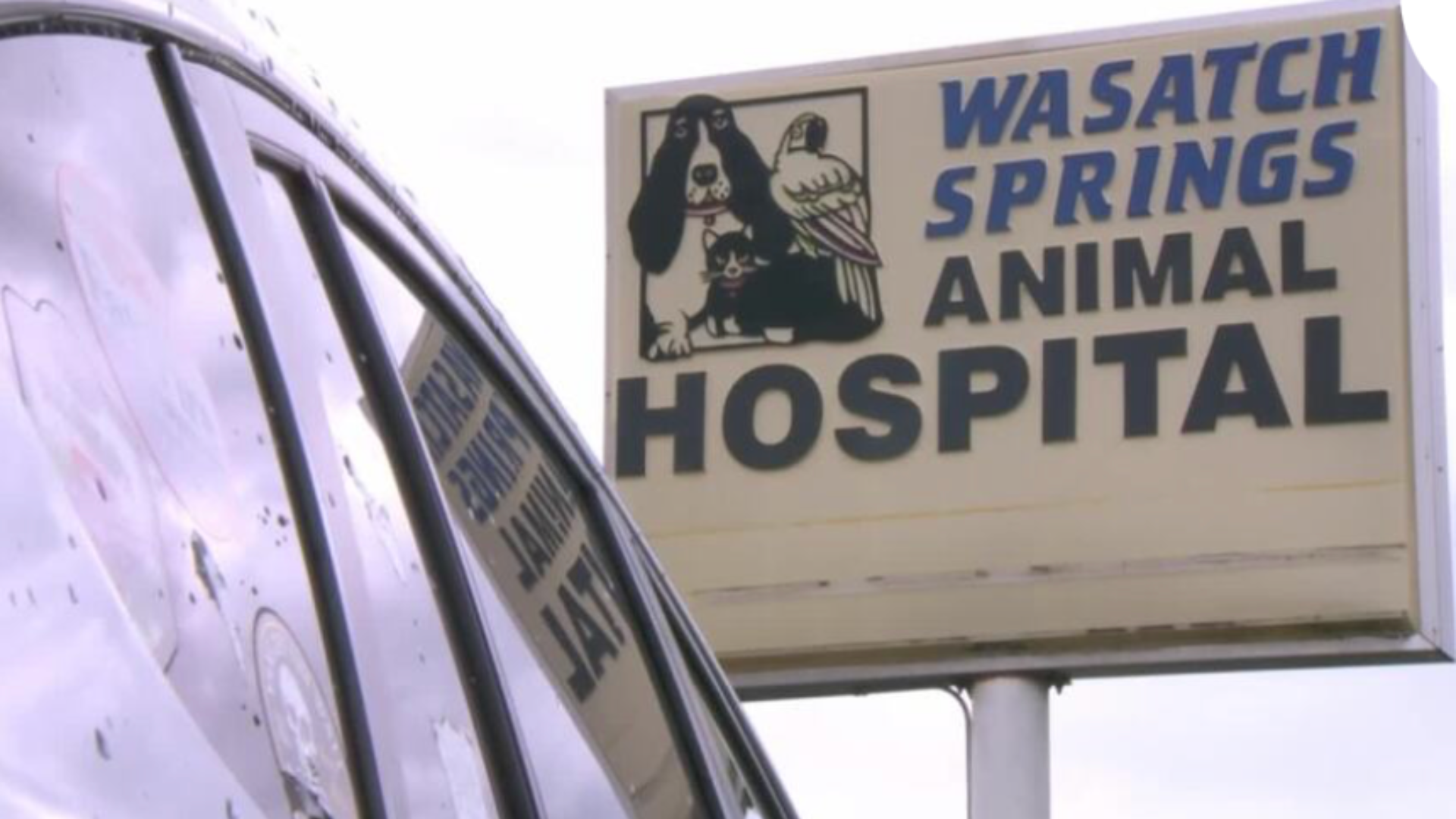 Wasatch Springs Animal Hospital sign.