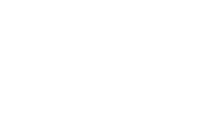 CIS logo