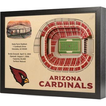 Arizona Cardinals 25.5" x 19.5" University of Phoenix Stadium Stadium Views Wall Art