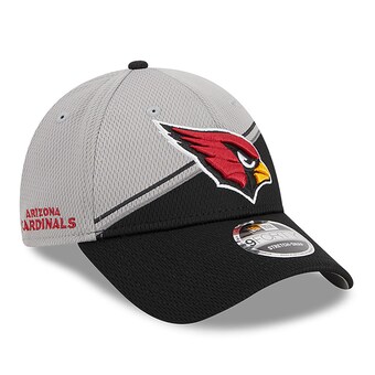 Men's Arizona Cardinals  New Era Gray/Black 2023 Sideline 9FORTY Adjustable Hat