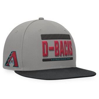 Men's Arizona Diamondbacks Fanatics Gray/Black Line Drive Two-Tone Snapback Hat