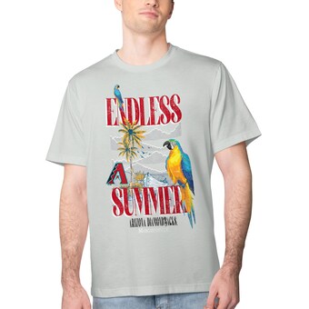 Men's Arizona Diamondbacks Margaritaville Silver Endless Summer Parrot Graphic T-Shirt