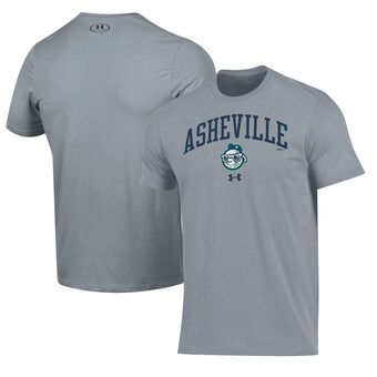 Men's Asheville Tourists Under Armour Gray Performance T-Shirt