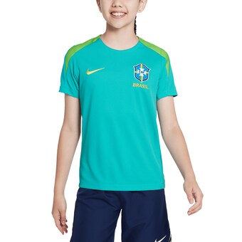  Brazil National Team Nike Youth 2024 Strike Performance Top - Blue