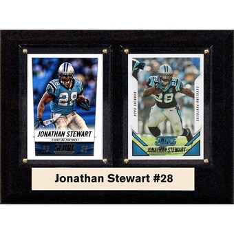 Carolina Panthers Jonathan Stewart 6'' x 8'' Plaque