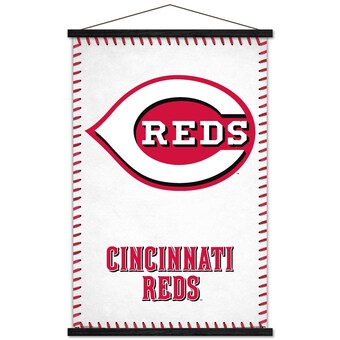 Cincinnati Reds 24'' x 34.75'' Magnetic Framed Logo Poster