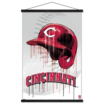 Cincinnati Reds 24" x 34.75" Magnetic Framed Team Poster