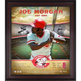 Cincinnati Reds Joe Morgan Fanatics Authentic Framed 15" x 17" Hall of Fame Career Profile