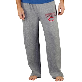 Men's Cincinnati Reds Concepts Sport Gray Team Mainstream Terry Pants