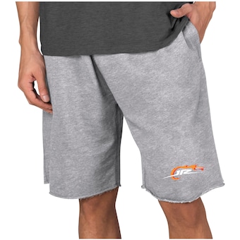  Dale Earnhardt Jr. Concepts Sport Mainstream Terry Shorts - Gray