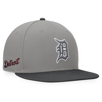 Men's Detroit Tigers Fanatics Gray/Charcoal Ace Snapback Hat