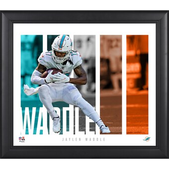 Miami Dolphins Jaylen Waddle Fanatics Authentic Framed 15'' x 17'' Player Panel Collage