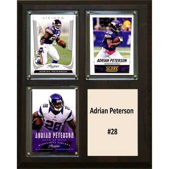 Minnesota Vikings Adrian Peterson 8'' x 10'' Plaque