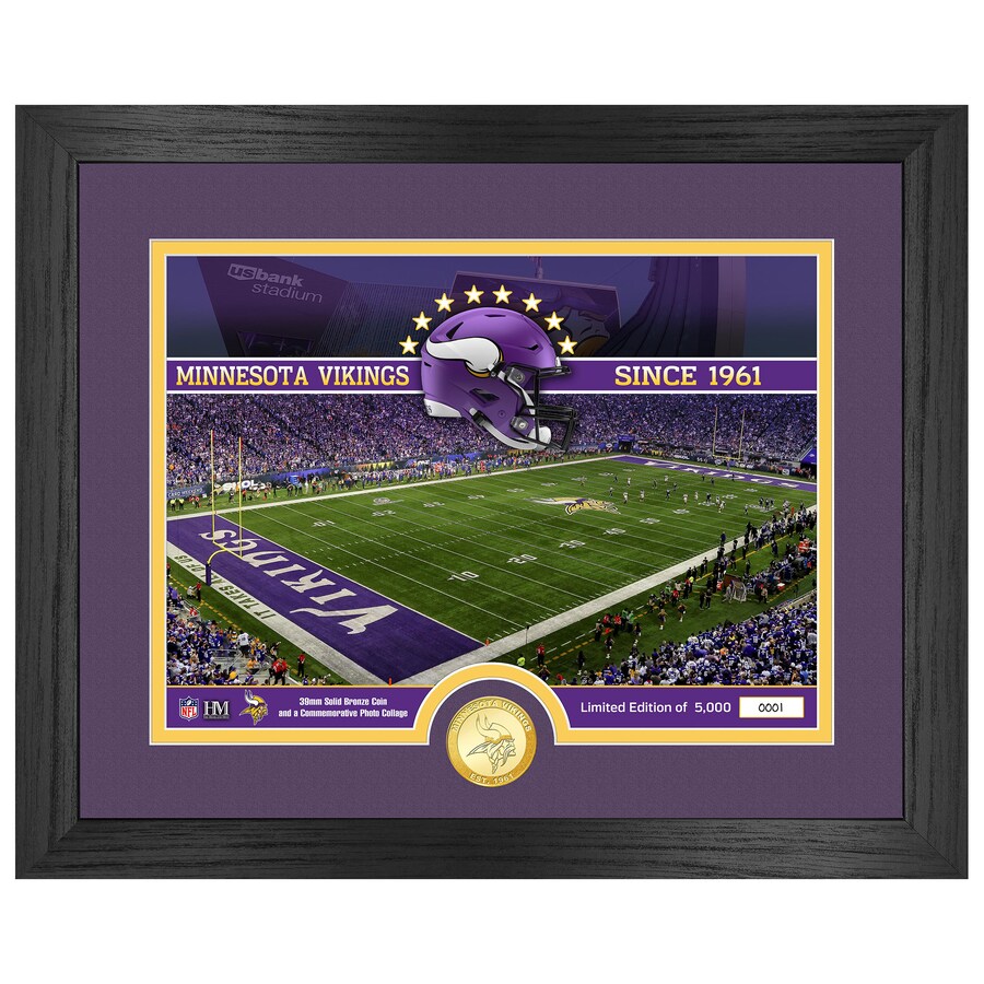 Minnesota Vikings  Highland Mint 13" x 16" Stadium Bronze Coin Photo Mint