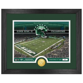 New York Jets  Highland Mint 13" x 16" Stadium Bronze Coin Photo Mint