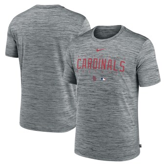 Men's St. Louis Cardinals Nike Heather Gray Authentic Collection Velocity Performance Practice T-Shirt