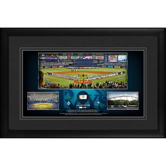 Tampa Bay Rays Fanatics Authentic Framed 10" x 18" Stadium Panoramic Collage with a Piece of Game-Used Baseball - Limited Edition of 500