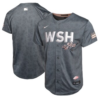 Youth Washington Nationals  Nike Charcoal City Connect Limited Jersey