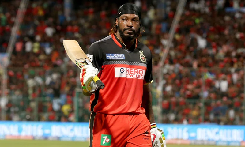  Most Runs in IPL season by Chris Gayle 