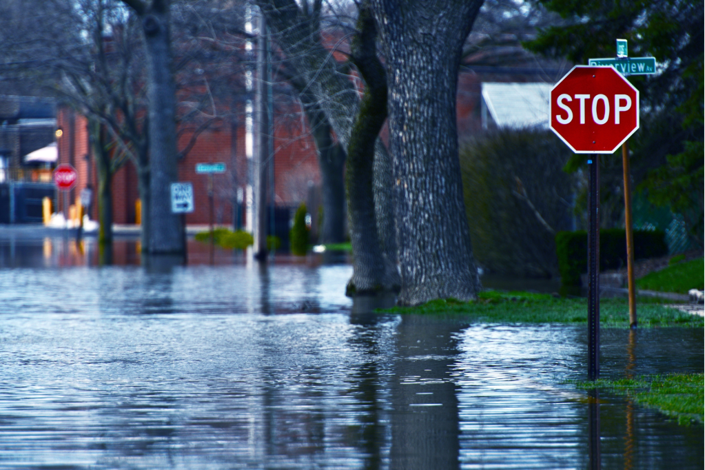 Picture of local neighborhood street flooding