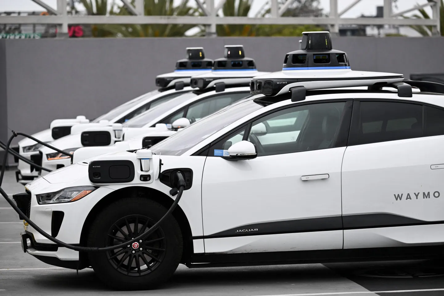 A line of Waymo self-driving electric cars-- all white Jaguars--being charged at a charging station.