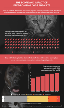 The Scope and Impact of Free-Roaming Dogs and Cats